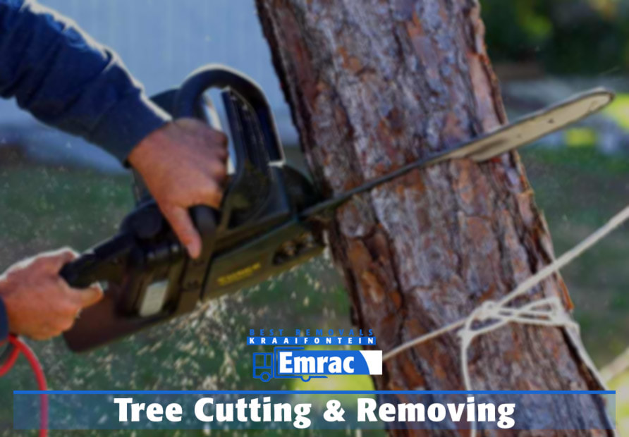 Tree Cutting & Removing- Emrac